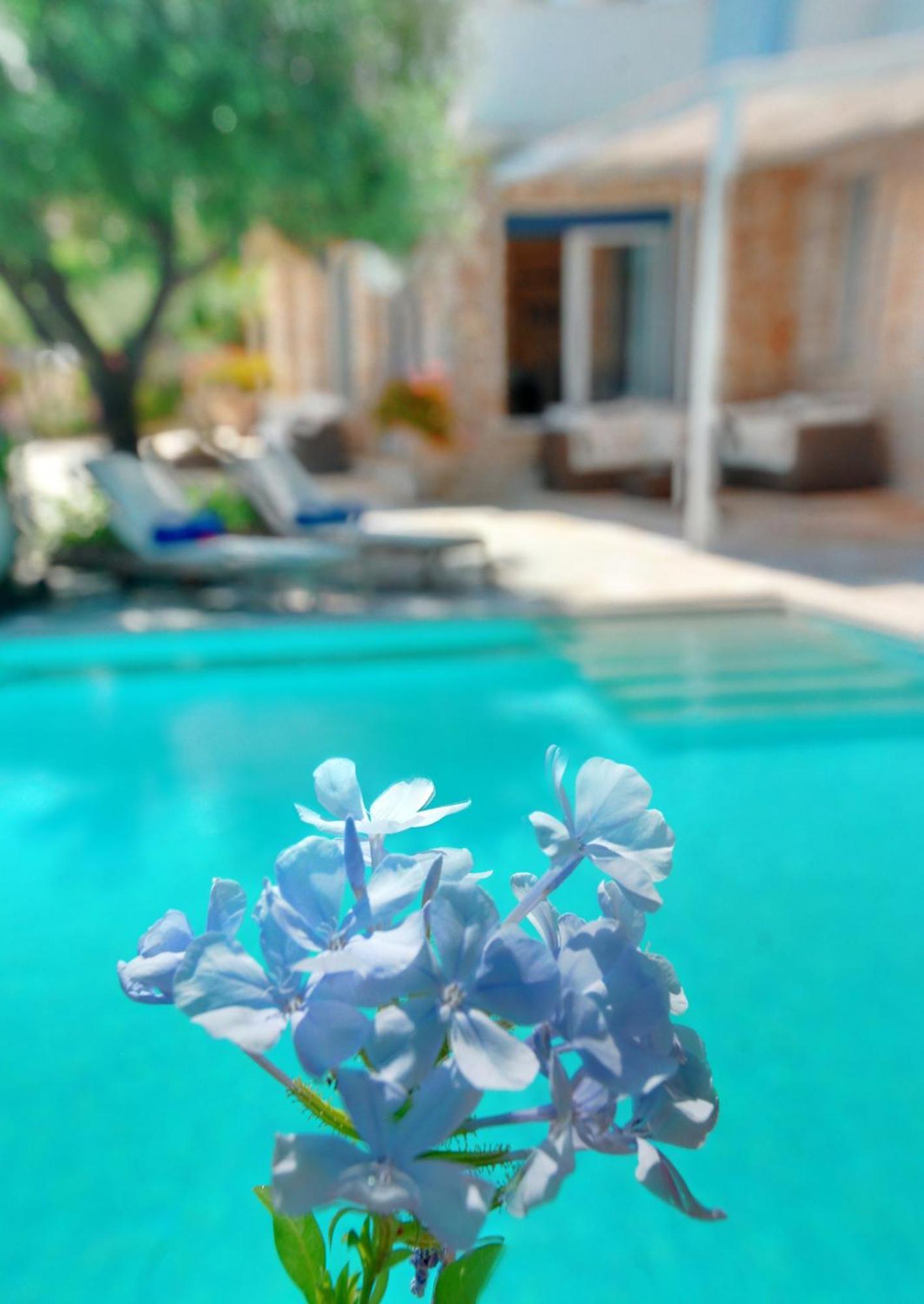 Corfu Luxury Villas Mparmpati Værelse billede